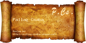 Pallag Csaba névjegykártya